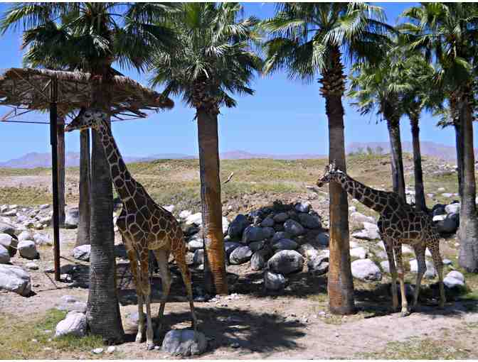 The Living Desert Zoo & Gardens: 4 Admission Passes