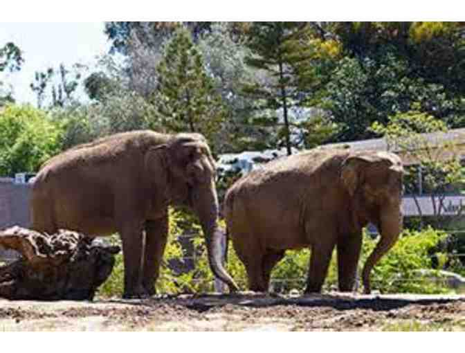 San Diego Zoo: 2 Tickets to San Diego Zoo (1-Day Admission)