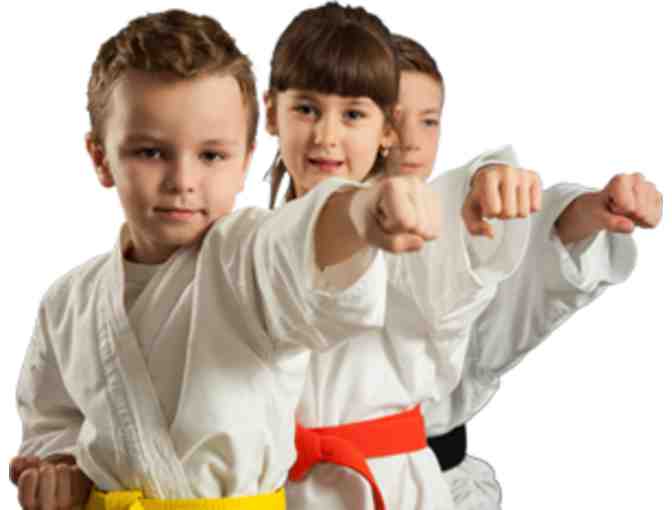 6 weeks of Taekwondo at Moon Sung Lee in Astoria