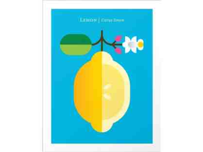 "Fruit: Lemon" Framed Art Print by Christopher Dina