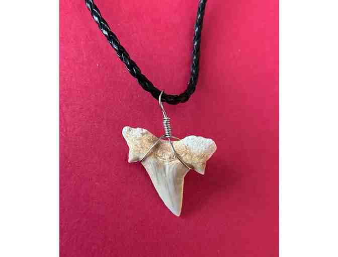 1 SHARK Necklace: Jewelry - Photo 2
