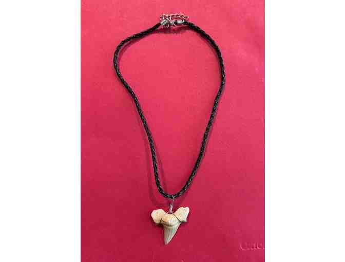 1 SHARK Necklace: Jewelry - Photo 4