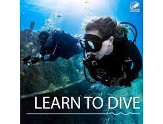 CLASS: SCUBA "Learn to Dive" (Intro PADI Certification, at Enfield Scuba) - Photo 3
