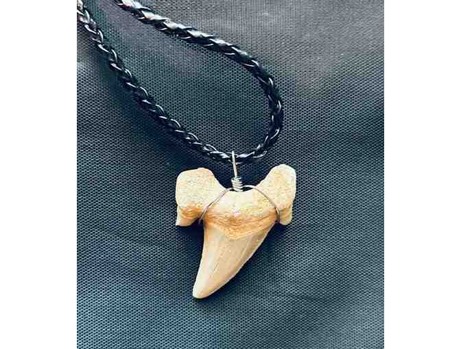 JEWELRY: Shark Tooth NECKLACE - Photo 1