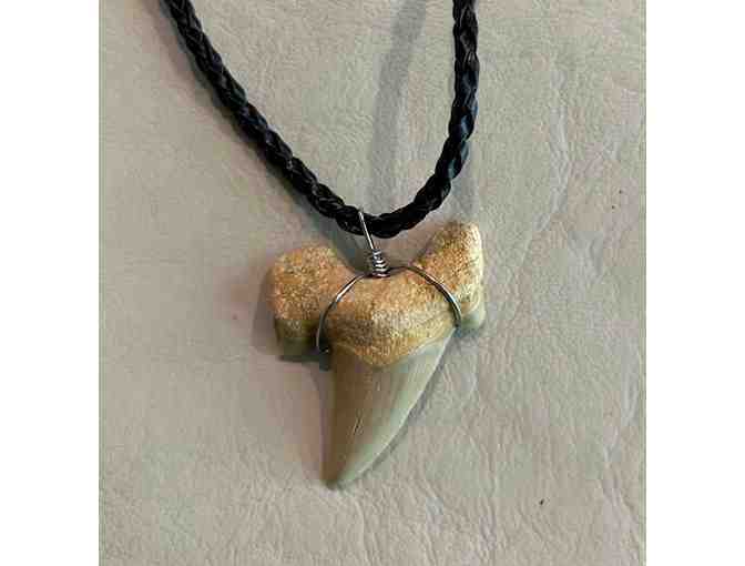JEWELRY: Shark Tooth NECKLACE - Photo 2