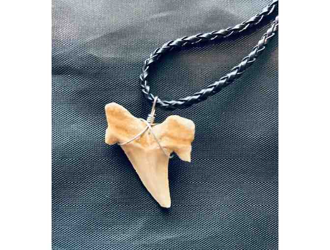 JEWELRY: Shark Tooth NECKLACE - Photo 3