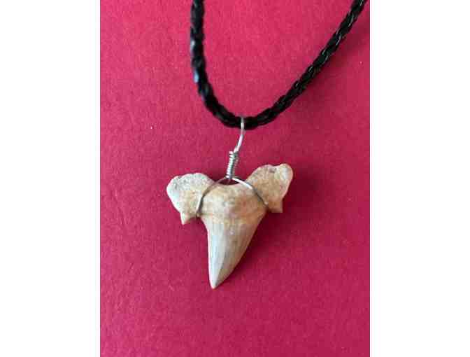 1 SHARK Necklace: Jewelry - Photo 1