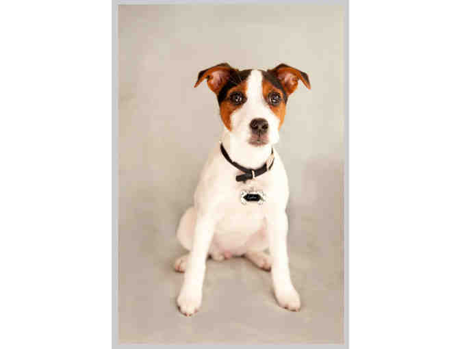 On Location Portrait Session and one 11x14 print from Mary Prince Photography