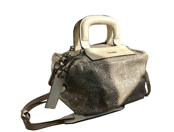 CK Python Handbag - Photo 1