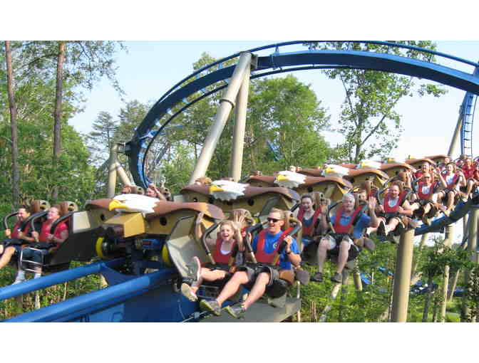 (2) Dollywood One-Day Admission Tickets