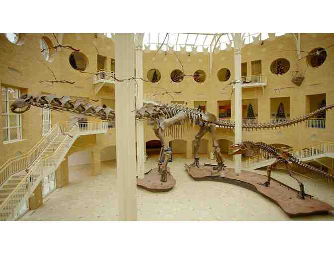 (2) Fernbank Museum Admission Passes