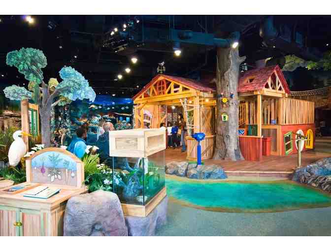 (2) Fernbank Museum Admission Passes