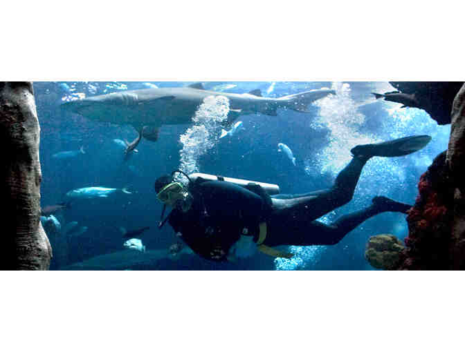 (2) Tennessee Aquarium Admission Passes