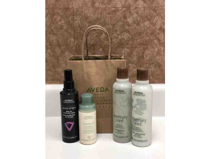 Aveda Hair Care Package - Photo 1
