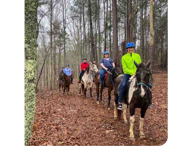 Two Hour Guided Trail Ride for 4 People