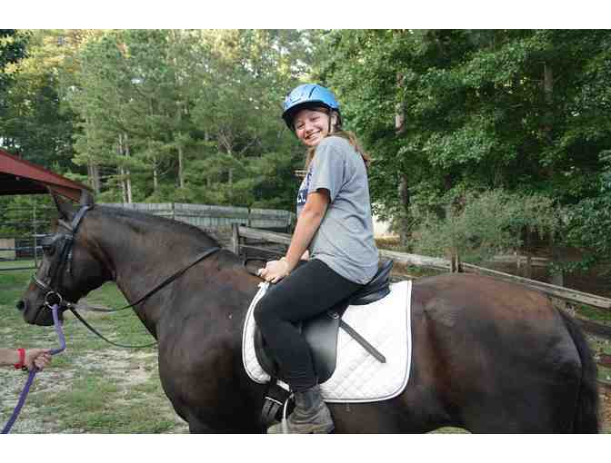 6 Week Student Riding Lesson Package - Photo 1