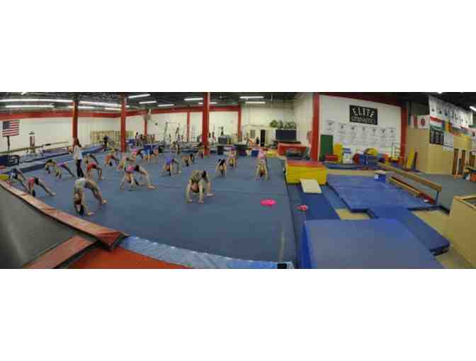 One Session & Annual Registration at Elite Gymnastics Academy