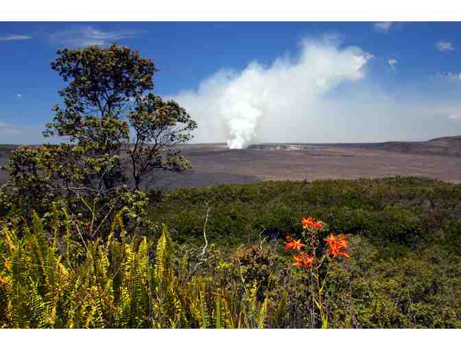 Big Island Hilo Volcano Special Tour for Two Adults - Photo 1