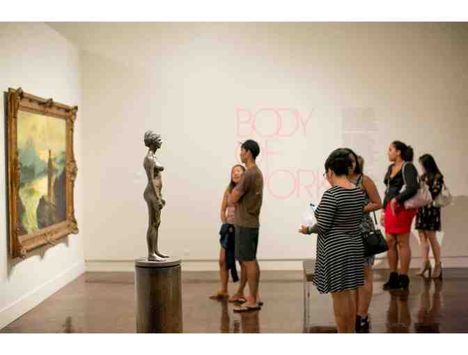 Honolulu Museum of Art membership experience