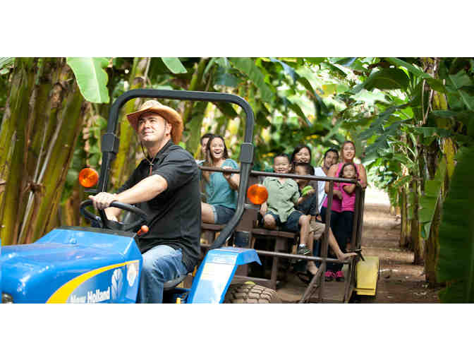 Private Tractor Pulled Wagon Ride at Kahuku Farms (Oahu) - Photo 1