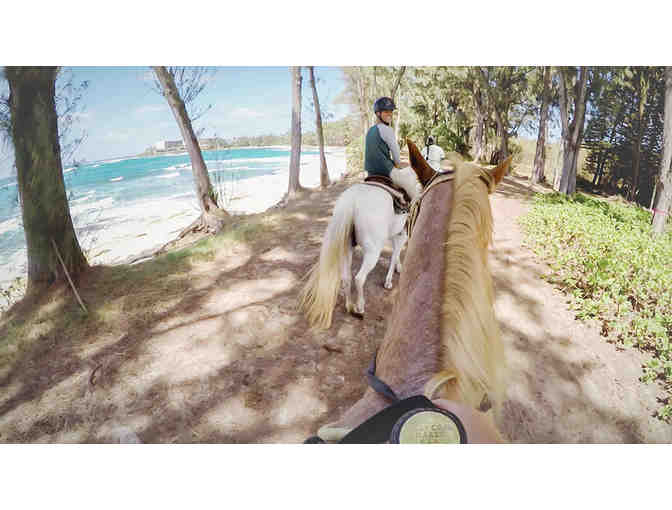 Two Night Stay at Turtle Bay Resort (Oahu)