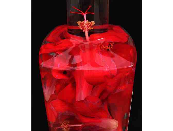 Bottle of Native Hibiscus Kokio Infused Gin