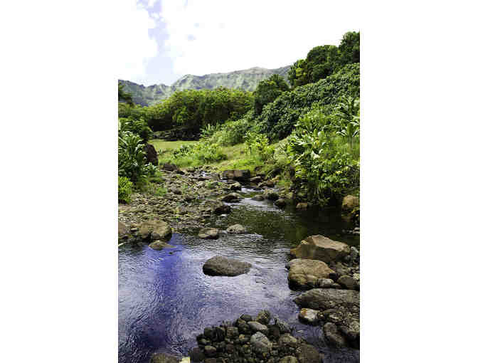 Tour & Lunch for 12 at Papahana Kualoa (Oahu)