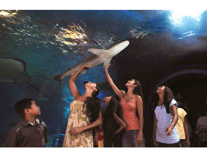 Family Membership to Maui Ocean Center (Maui)