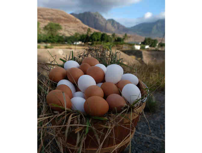 One Year Supply of Local Fresh Island Eggs for a Family of Four (OAHU)