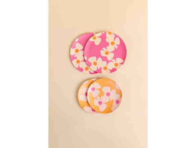 Fighting Eel Home Kitchen Zinnia Bundle-2 - Photo 2