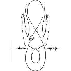 Silver Lining Wine Bar