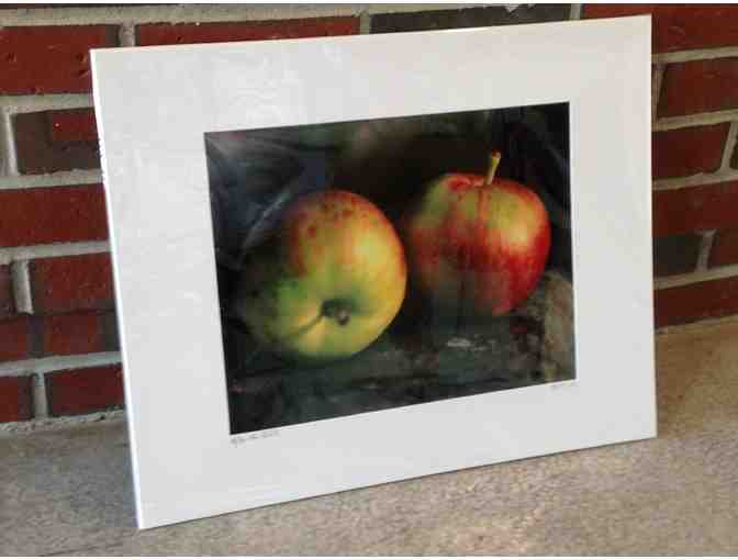 'After the Fall' Photograph