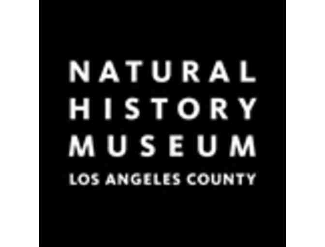 For those Summer Days-Museums Of LA