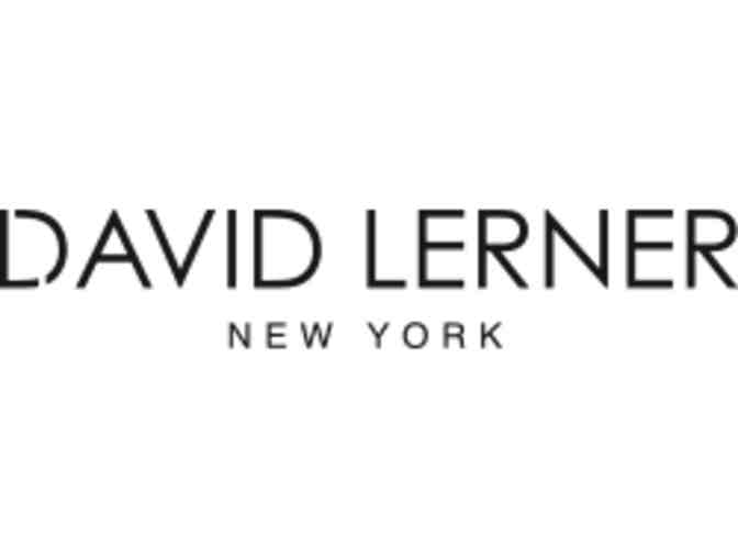 David Lerner New York-$350 Gift Card & Basket of Cute Clothes-no expiration