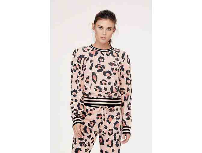 David Lerner New York-$350 Gift Card & Basket of Cute Clothes-no expiration