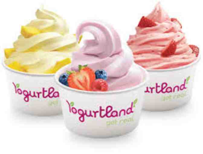 Yogurtland- 4 Free yogurts with toppings-no expiration - Photo 1