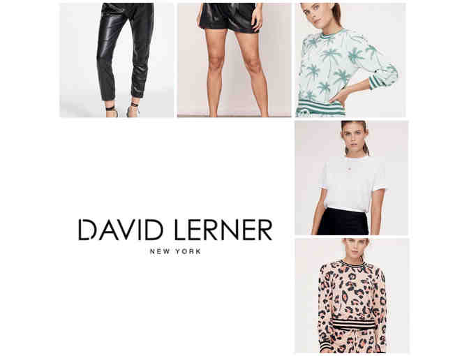 David Lerner New York-$350 Gift Card & Basket of Cute Clothes-no expiration