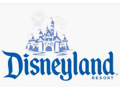 Disneyland gift card ($1,050) -Brought to You by our 2nd and 3rd Grade Classes!