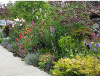 1-Hour Landscape & Garden Consultation