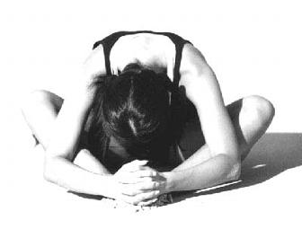 One 1-Hour Fitness Consultation