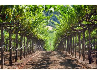 Tour and Tasting for Four