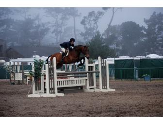 One 1 Hour English Riding Lesson