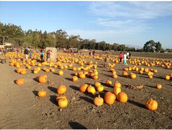 One Family Pass for Four