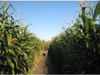 One Family Pass for Four