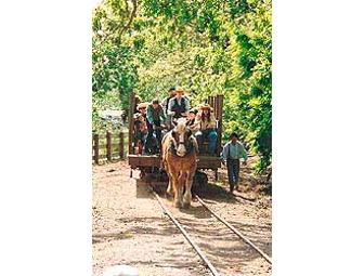 One Family Pass for Four