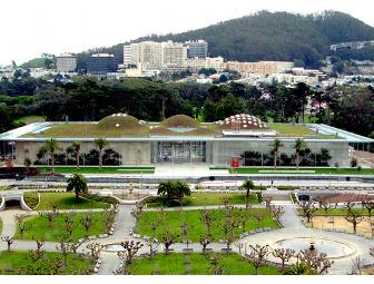 Four Admission Tickets