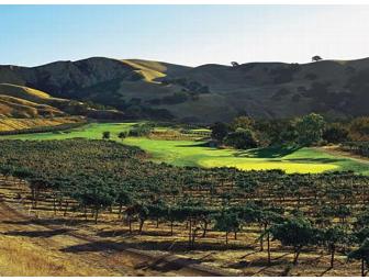 Private Wine Tasting for 8