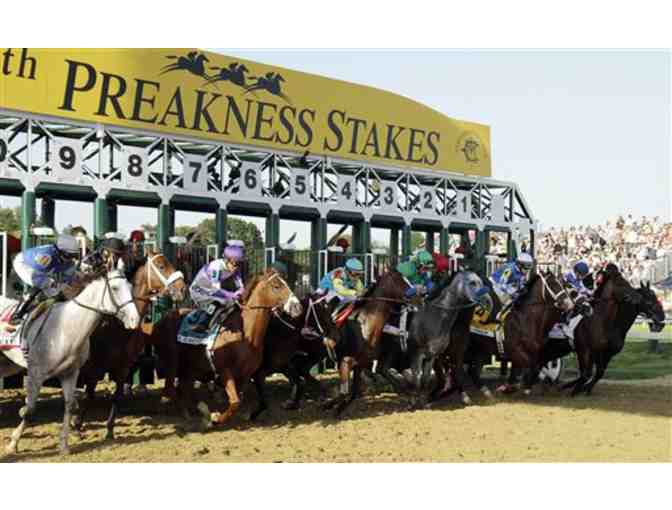 Preakness Horse Racing Package