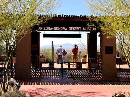 Arizona-Sonora Desert Museum Ticket for Free Admission (2 of 2)