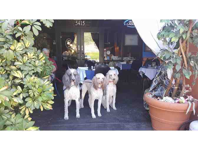 Piazza Gavi $40 Gift Card